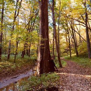 Meet your Posher, Autumn